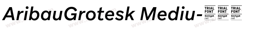 AribauGrotesk Mediu字体转换